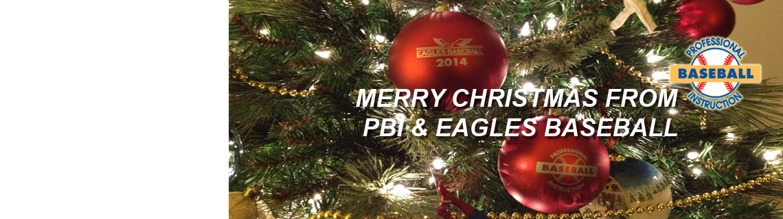 Merry Christmas From PBI – Professional Baseball Instruction